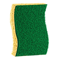 Green Sponge